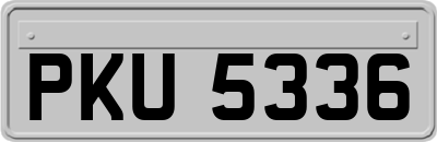 PKU5336