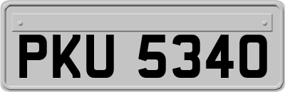 PKU5340