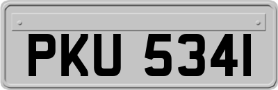 PKU5341