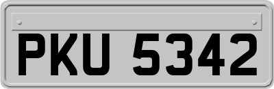 PKU5342