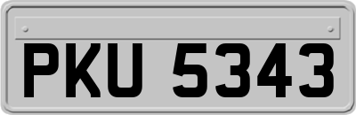 PKU5343
