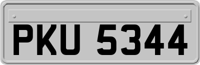 PKU5344