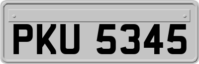 PKU5345