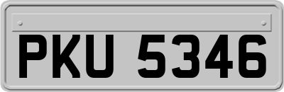 PKU5346