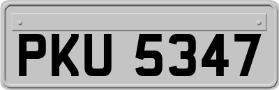 PKU5347