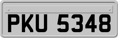 PKU5348