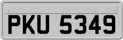 PKU5349