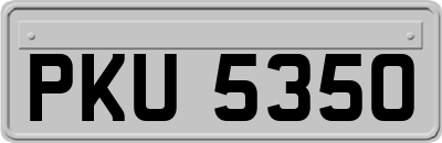 PKU5350
