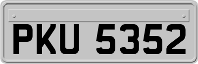 PKU5352