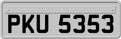 PKU5353