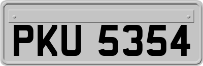 PKU5354