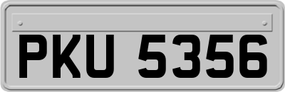 PKU5356
