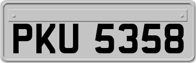 PKU5358
