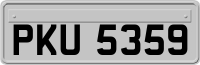 PKU5359
