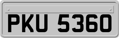 PKU5360