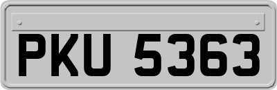 PKU5363