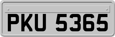 PKU5365