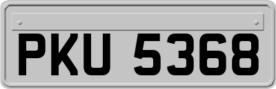 PKU5368