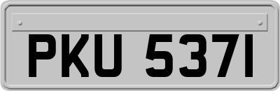 PKU5371