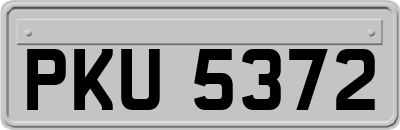 PKU5372