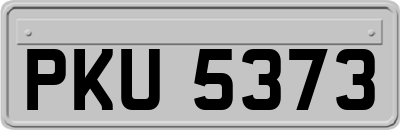 PKU5373