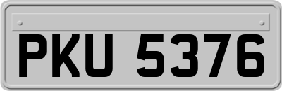 PKU5376