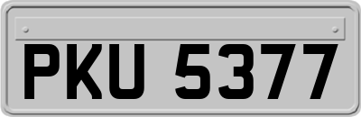 PKU5377