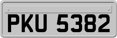 PKU5382