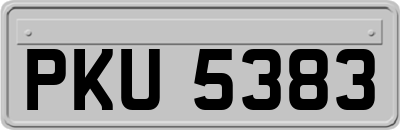 PKU5383