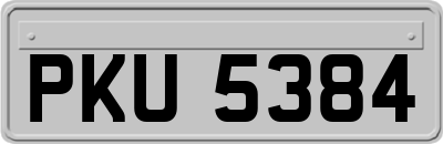 PKU5384