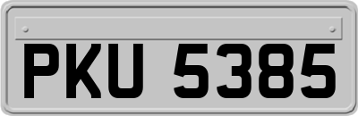 PKU5385