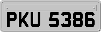 PKU5386
