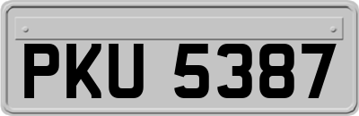 PKU5387
