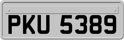 PKU5389