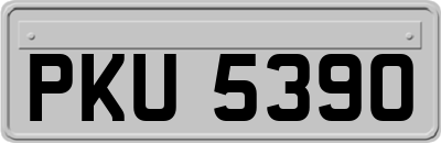 PKU5390