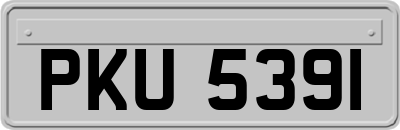 PKU5391