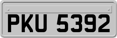 PKU5392