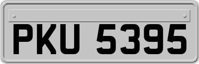 PKU5395