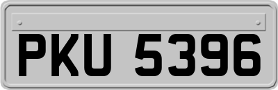 PKU5396