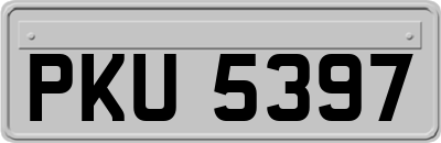 PKU5397