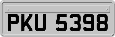 PKU5398