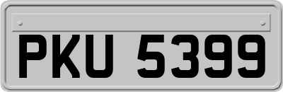 PKU5399
