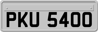 PKU5400
