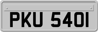 PKU5401