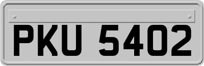 PKU5402