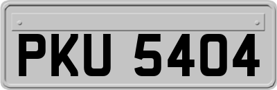 PKU5404