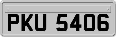PKU5406