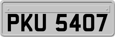 PKU5407