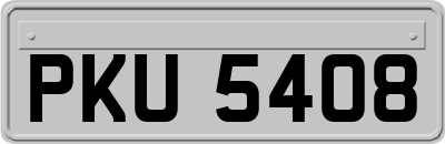 PKU5408