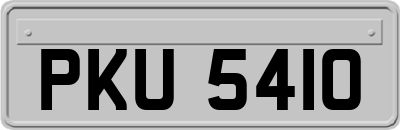 PKU5410